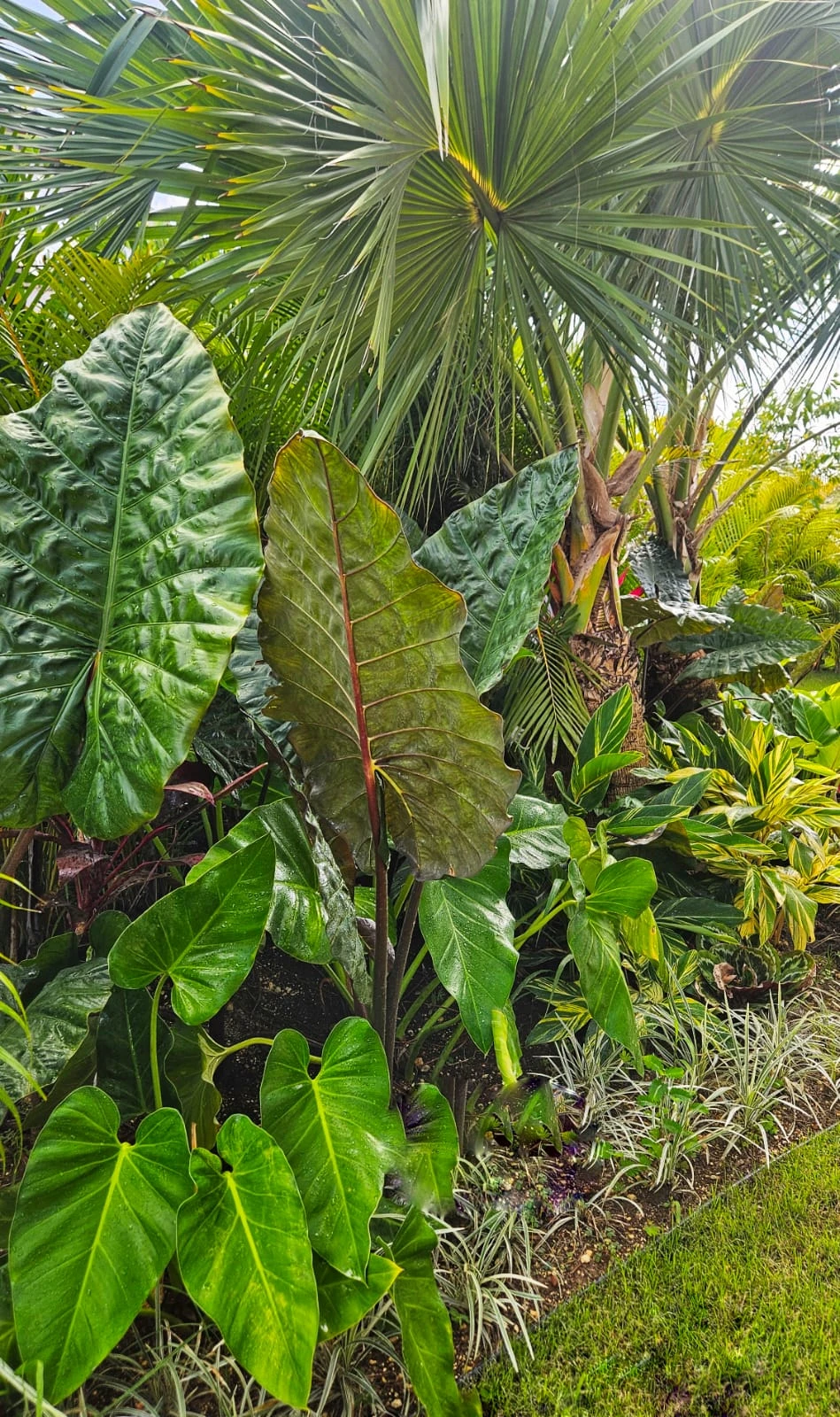 Producción agrícola